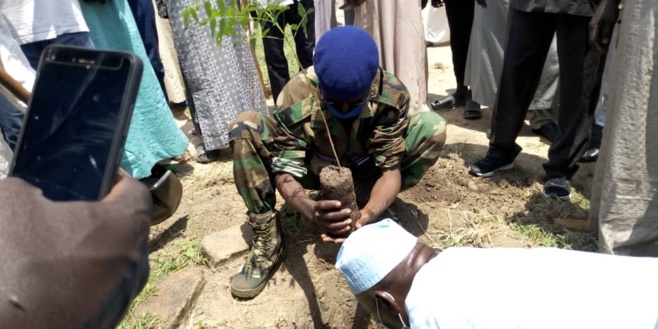 Tchad : une opération de reboisement à Zerli 1, près de Mongo, pour la semaine de l'arbre