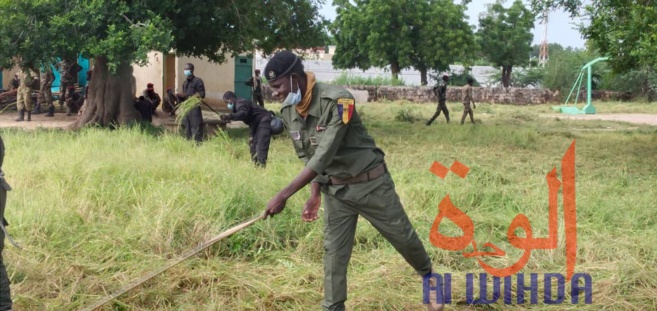 Tchad : les forces de défense et de sécurité en opération de salubrité à N'Djamena