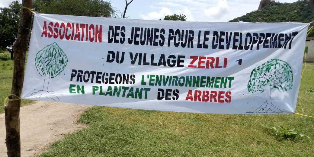 Tchad : une opération de reboisement à Zerli 1, près de Mongo, pour la semaine de l'arbre