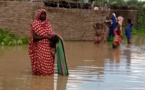 Tchad : 300 000 personnes en insécurité alimentaire sévère à l'Est