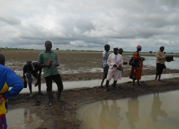 Attitude inhumaine des autorités tchadiennes :52 000 personnes relogées dans un lac