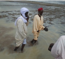 Attitude inhumaine des autorités tchadiennes :52 000 personnes relogées dans un lac