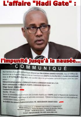 DJIBOUTI - L'affaire « Hadi Gate » : l’impunité jusqu’à la nausée…