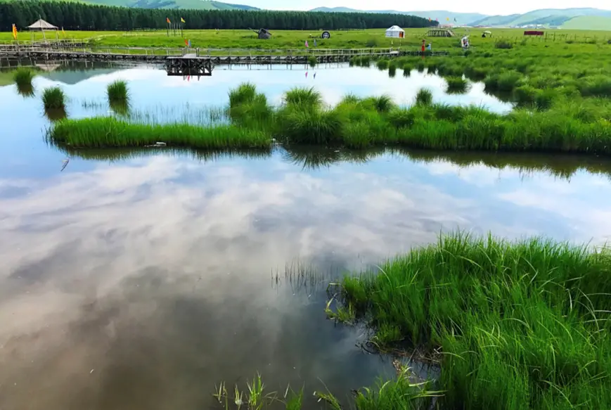 Through years of hard working, Saihanba in the city of Chengde, north China’s Hebei Province, which was a barren wasteland only half a century ago, is now a vast woodland. It can serve as a “forest wall” for Beijing and Tianjin and provide a good example for building an ecological civilization. (Photo by Shi Ziqiang from People’s Daily)