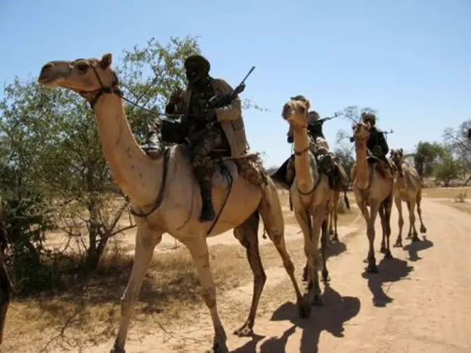 Des combattants de la rébellion soudanais à dos de chameaux au Darfour.