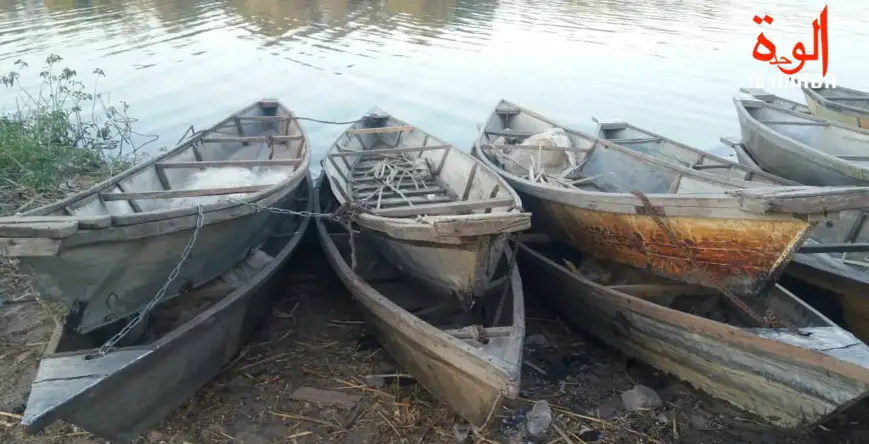 Des pirogues sur les rives du Lac Tchad. © Alwihda Info