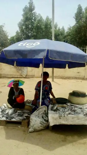 Tchad : la méthode "Sagar" pour stocker sans électricité