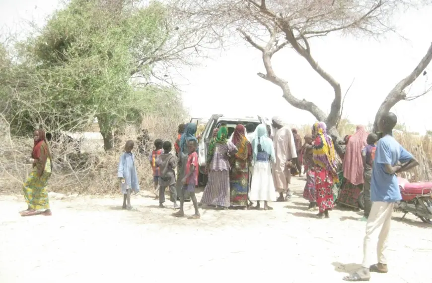 La ville de Bol, dans la province du Lac Tchad, en 2018. © Alwihda Info