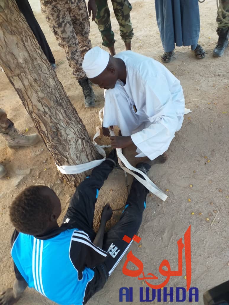 Tchad : libération d'enfants enchainés dans un centre d'apprentissage religieux. © Alwihda Info