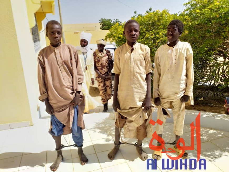 Tchad : libération d'enfants enchainés dans un centre d'apprentissage religieux. © Alwihda Info