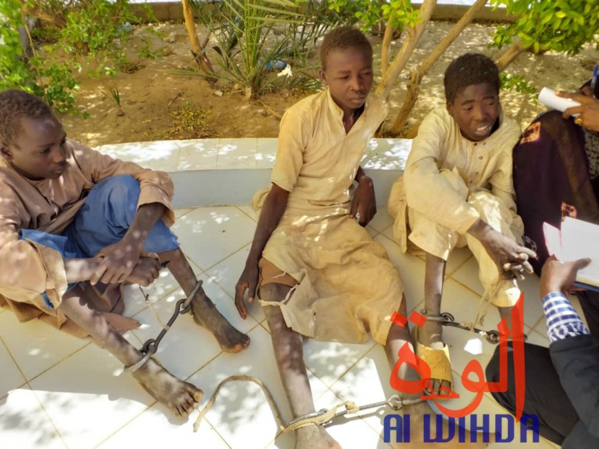 Tchad : libération d'enfants enchainés dans un centre d'apprentissage religieux. © Alwihda Info