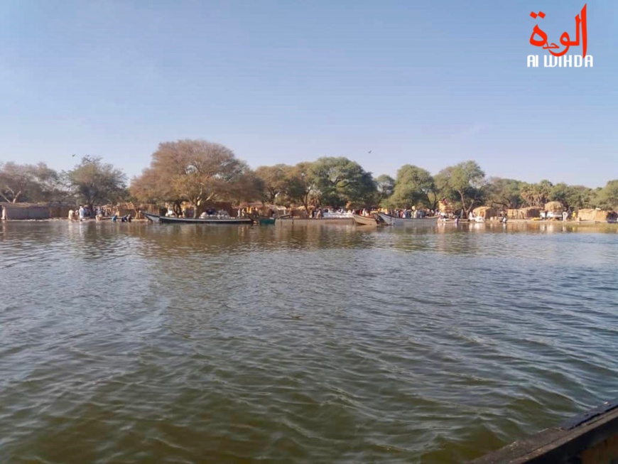 Les rives du Lac Tchad. © Alwihda Info