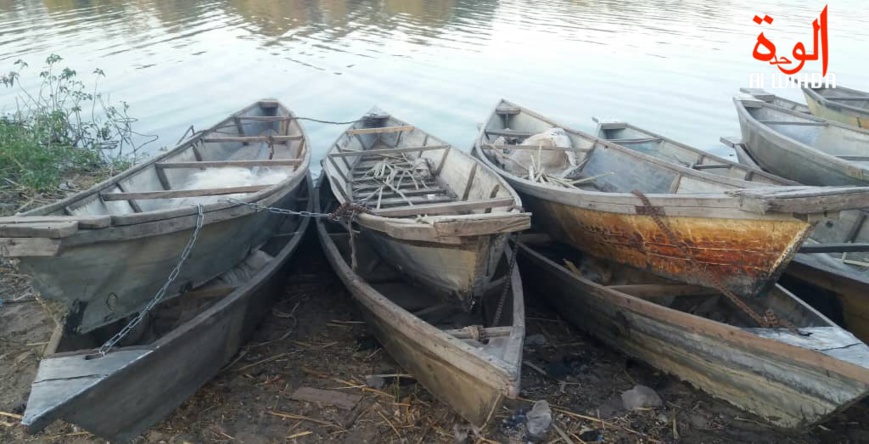 Des pirogues alignées au bord des rives du Lac, au Tchad. Illustration. © Alwihda Info