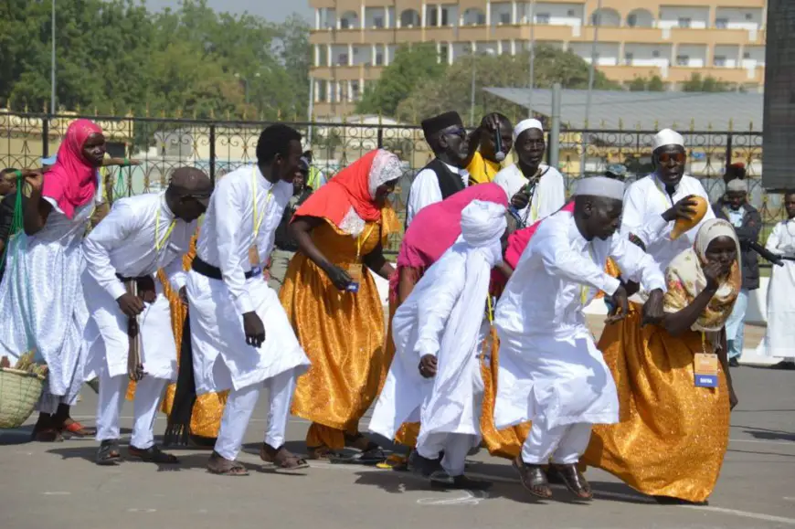 Tchad : le festival Dary mettra en valeur la diversité culturelle pendant 12 jours. © DR