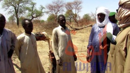 Tchad : opération de la garde forestière au Sila après la destruction d'arbres. © Mahamat Issa Gadaya/Alwihda Info