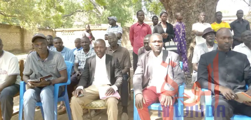 Tchad : la Fédération des jeunes agriculteurs s'installe dans la Tandjilé. © Éric Guedi/Alwihda Info