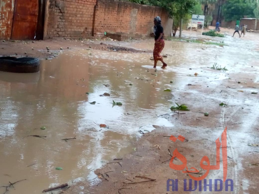 Tchad : des dégâts après une forte pluie et des vents violents à Moundou. © Golmen Ali/Alwihda Info