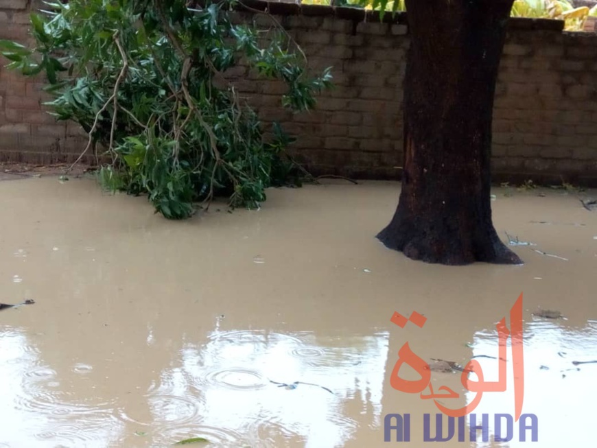 Tchad : des dégâts après une forte pluie et des vents violents à Moundou. © Golmen Ali/Alwihda Info