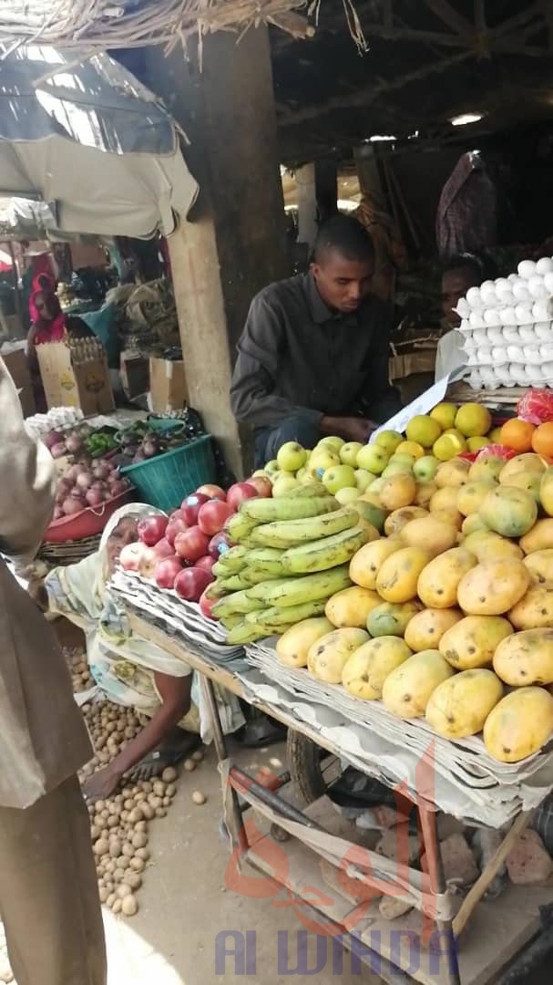 Tchad - Covid-19 : des centaines de brochures distribuées à Abéché. © Abba Issa/Alwihda