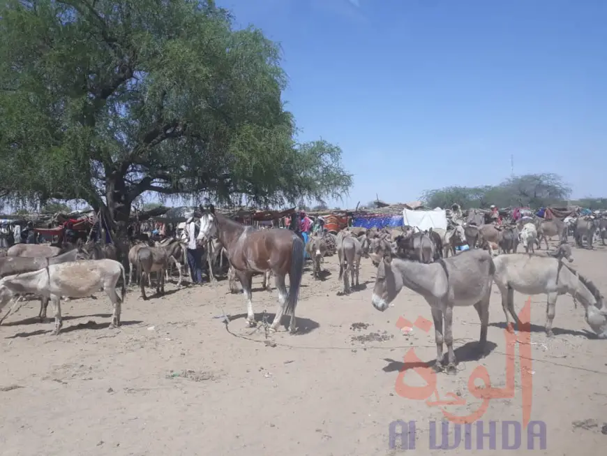 Tchad - Covid-19 : la sensibilisation s'étend au monde rural