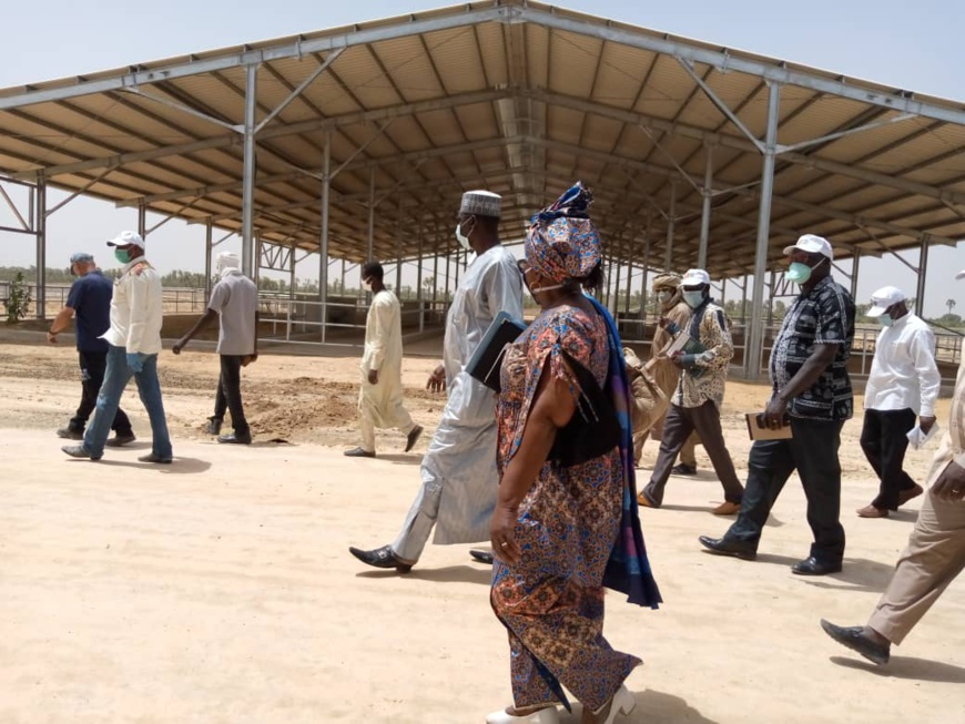 Visite ministérielle au complexe industriel laitier de Mandelia, le 6 mai 2020. © Min. Elevage