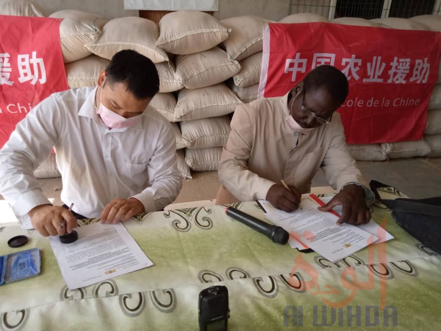 Tchad : 5 tonnes de semence remis à des producteurs de riz près de Douguia. © Hassan Hasaballah/Alwihda Info