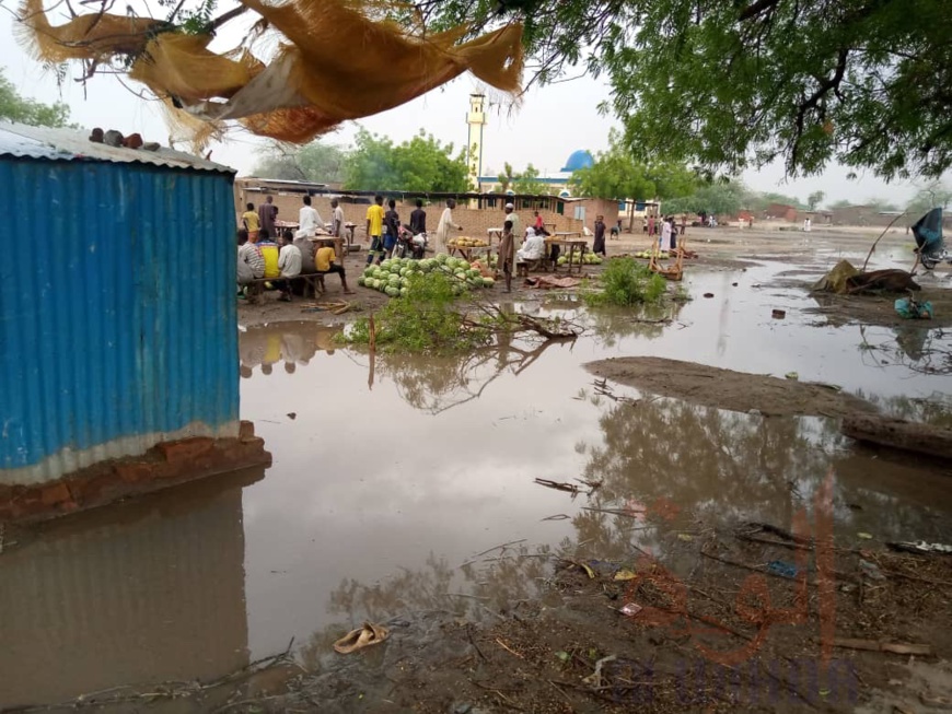 Tchad : première grosse pluie dans la sous-préfecture de Karal 