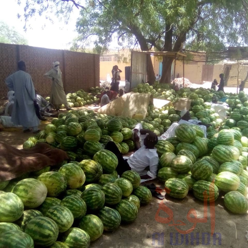 Tchad : "Jusque-là, il y a des gens qui mettent en doute la présence du coronavirus". © Abba Issa/Alwihda Info