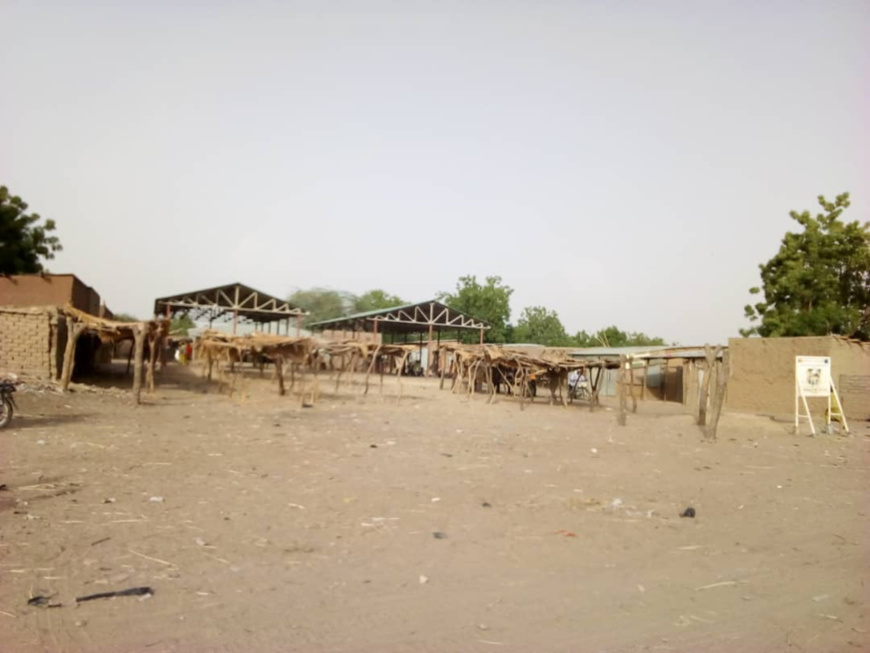 Tchad : des matériels agricoles, de pêche et des intrants remis à des groupements à Guitté. © Mbainaissem Gédéon Mbeïbadoum/Alwihda Info