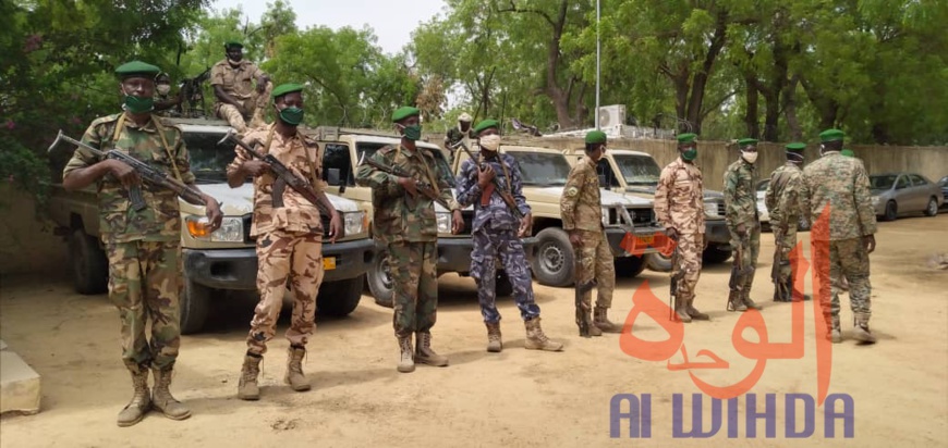 Tchad : trafic d'ivoire, la Garde forestière et faunique arrête plusieurs individus 