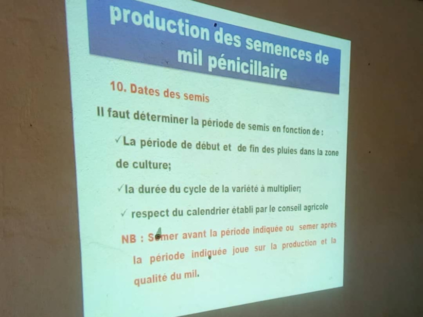 Tchad : des producteurs du Lac et du Hadjer Lamis se renforcent pour des semences de qualité