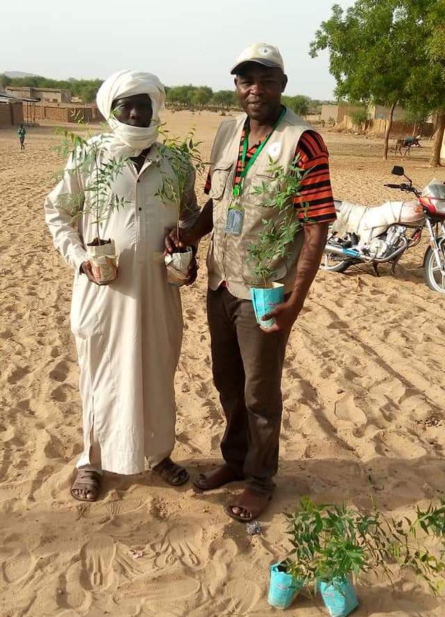 Tchad : à Amsatarna, au Ouaddaï, une opération de reboisement porte ses fruits