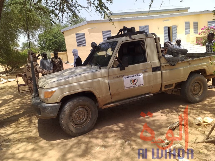 Tchad : des cartouches d'armes saisies près de la frontière avec le Soudan. © Mahamat Issa Gadaya/Alwihda Info