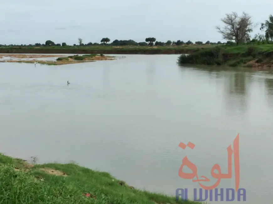 Les rives du fleuve Chari à Mandjafa, dans le 7ème arrondissement de N'Djamena, le 14 juillet 2020. © Malick Mahamat/Alwihda Info