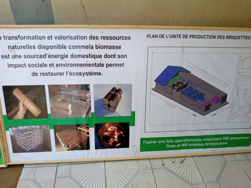 Tchad : l'APE appelle à accentuer la lutte contre la dégradation de l'environnement