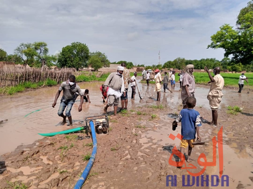 Tchad : au Sila, la population se mobilise pour aménager une route