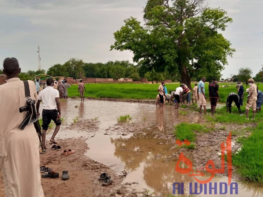 Tchad : au Sila, la population se mobilise pour aménager une route