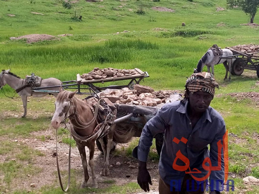 Tchad : au Sila, la population se mobilise pour aménager une route