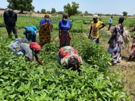 Entrepreneuriat : Fatimé Souckar va représenter le Tchad au sommet mondial de l'industrie au féminin