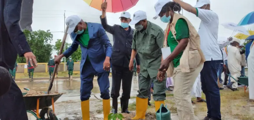 Tchad : la Semaine nationale de l'arbre lancée par le gouvernement. © Malick Mahamat/Alwihda Info