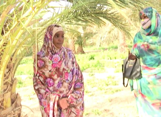 Tchad : au Borkou, les femmes s'autonomisent grâce à l'agriculture