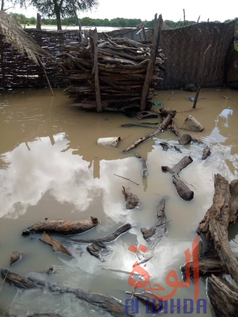 Tchad : des centaines de familles sans-abris suite à des inondations au Sila