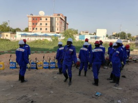 Tchad : une opération de démoustication à N'Djamena initiée par la Première Dame