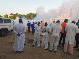 Tchad : une opération de démoustication à N'Djamena initiée par la Première Dame