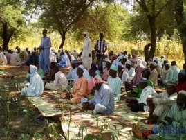 Tchad : des troupeaux d'éléphants font des dégâts à Baltram. © Mbainaissem Gédéon Mbeïbadoum/Alwihda Info