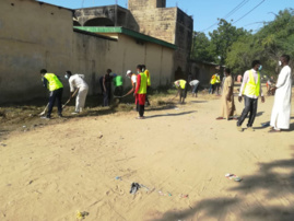 Tchad : la nouvelle génération du quartier Klemat aménage les rues et plante des arbres. © Ali Moussa/Alwihda Info