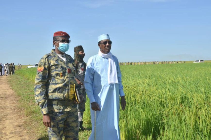 Tchad : près de Bongor, le génie militaire se montre efficace en exploitation agricole de riz. © PR