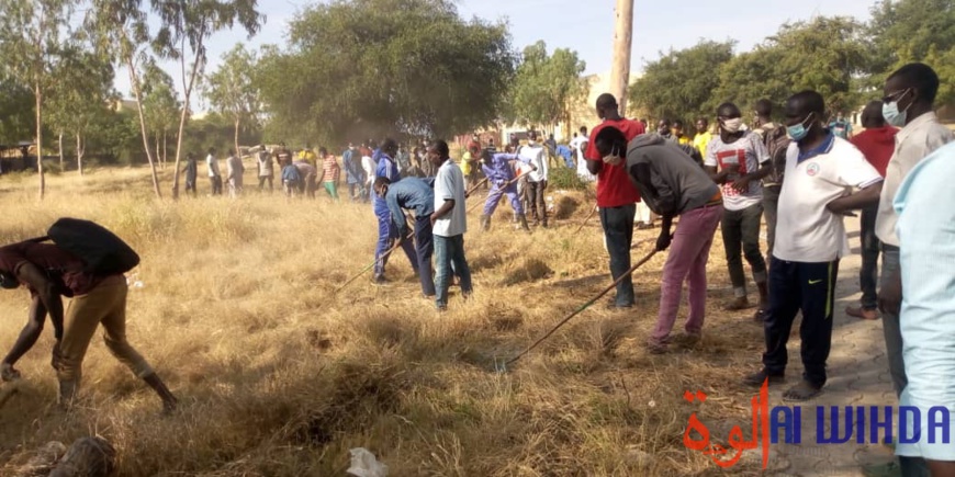 Tchad : une journée citoyenne de salubrité à l'Université polytechnique de Mongo