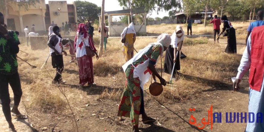 Tchad : une journée citoyenne de salubrité à l'Université polytechnique de Mongo