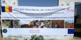 Tchad : concertation sur la conservation et le développement durable de l'écosystème de Zakouma. © Béchir Badjoury/Alwihda Info